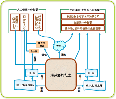 図解土壌汚染の影響
