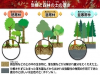 地形と土壌