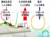 生態系の動態