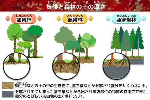 地形と土壌 地球の成り立ちと気候変動 探究ノート 環境展望台 国立環境研究所 環境情報メディア