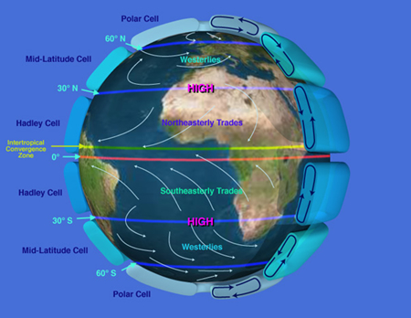 大気と水の循環（イメージ）