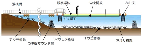 図3 お台場海浜公園におけるカキの水質浄化実験（実験施設断面イメージ図）