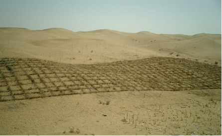 砂漠緑化 環境技術解説 環境展望台 国立環境研究所 環境情報メディア